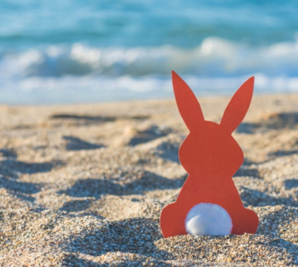 media.pasqua-riccione